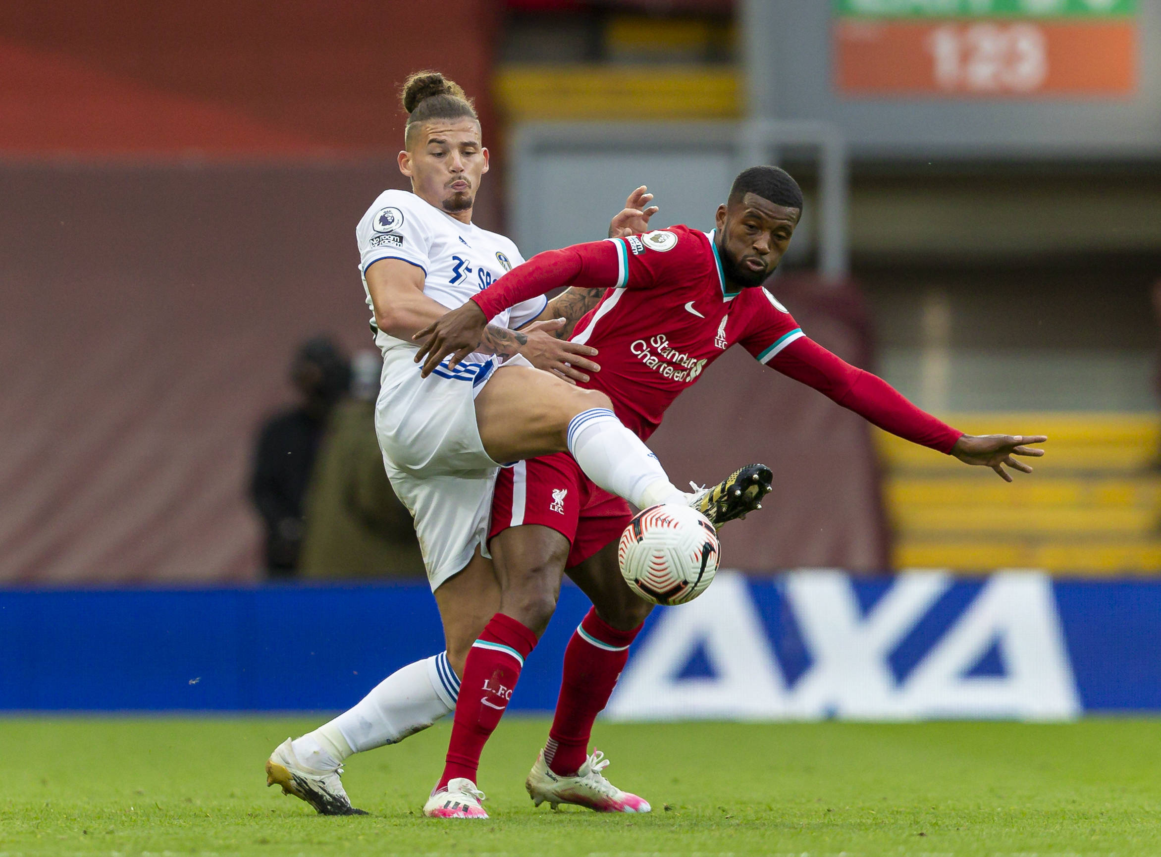 马莱莱成大 马莱莱成大